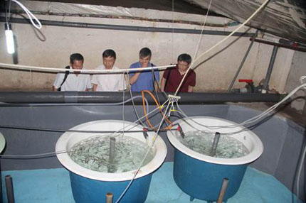 chensiqing2.jpg