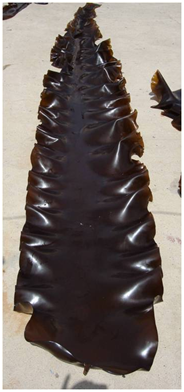 blob.png blob.png